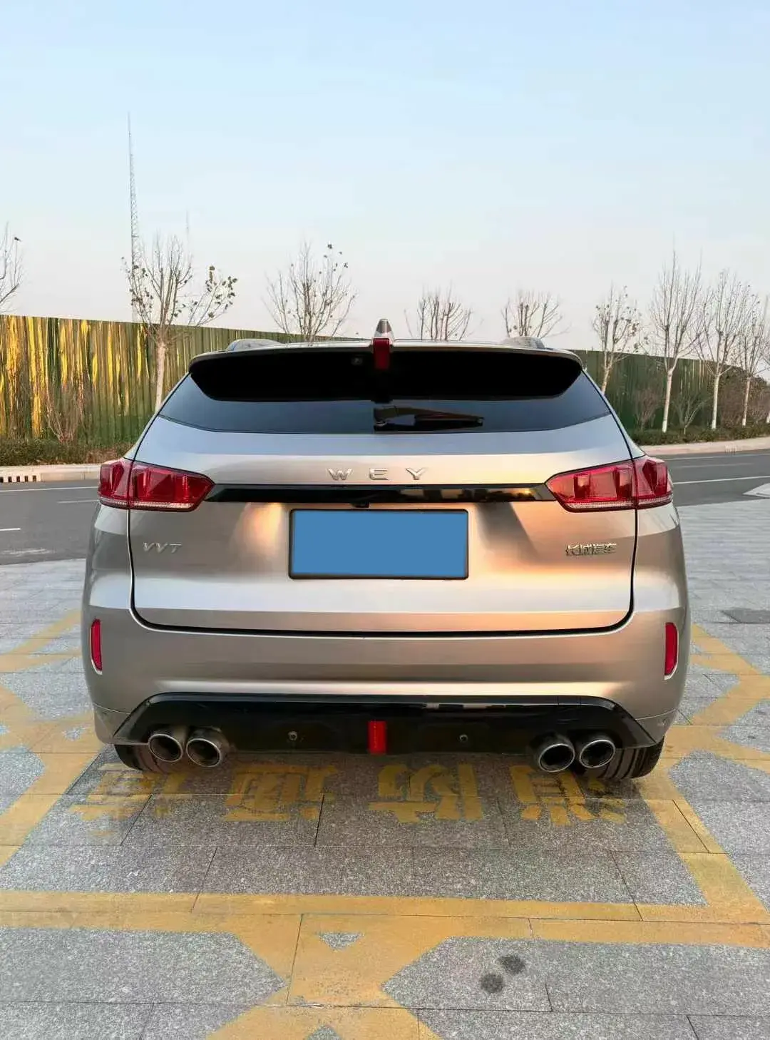 2017 ZOTYE T700 thumbnail 4