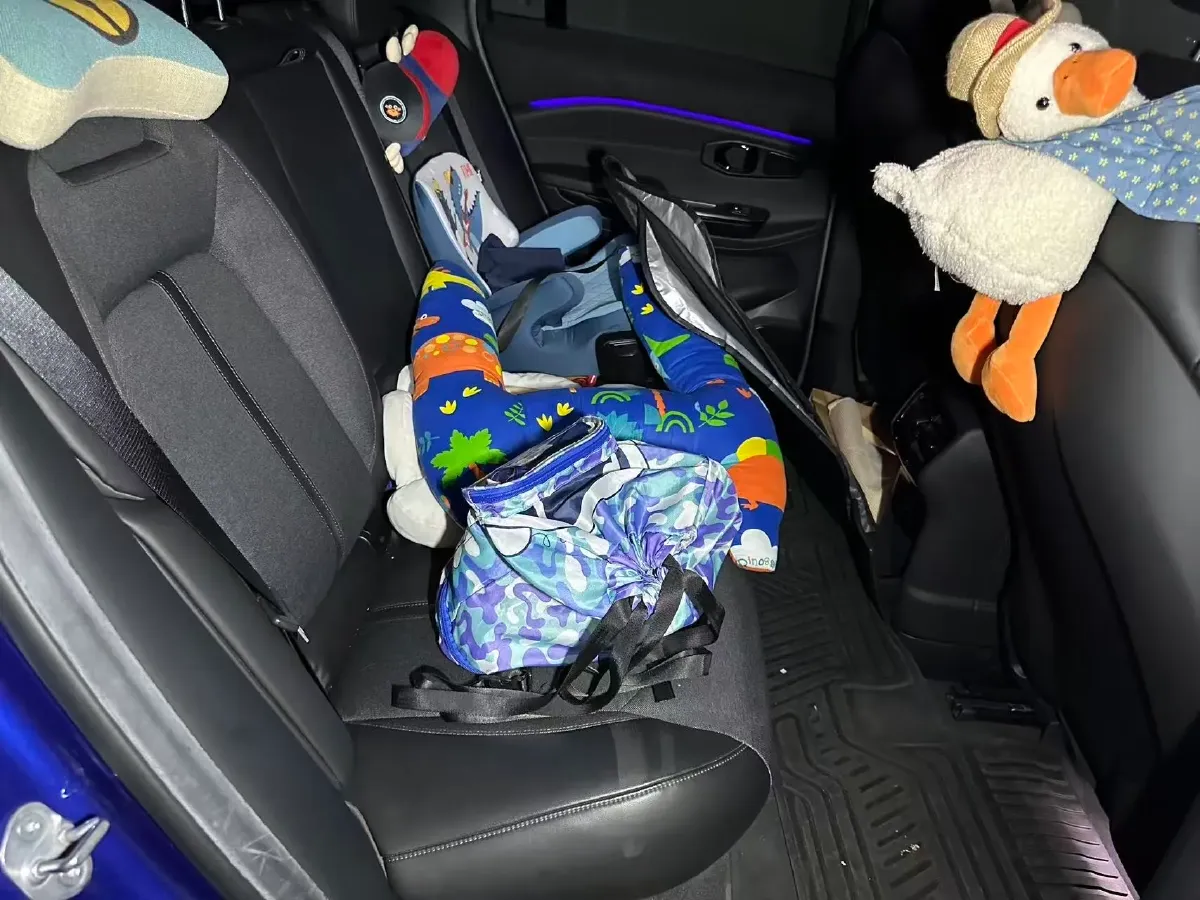 2020 NIO EC6 BEV 100KWH,autocango,china used car exporter,china ev exporter,chinese used car exporter,chinese used ev exporter