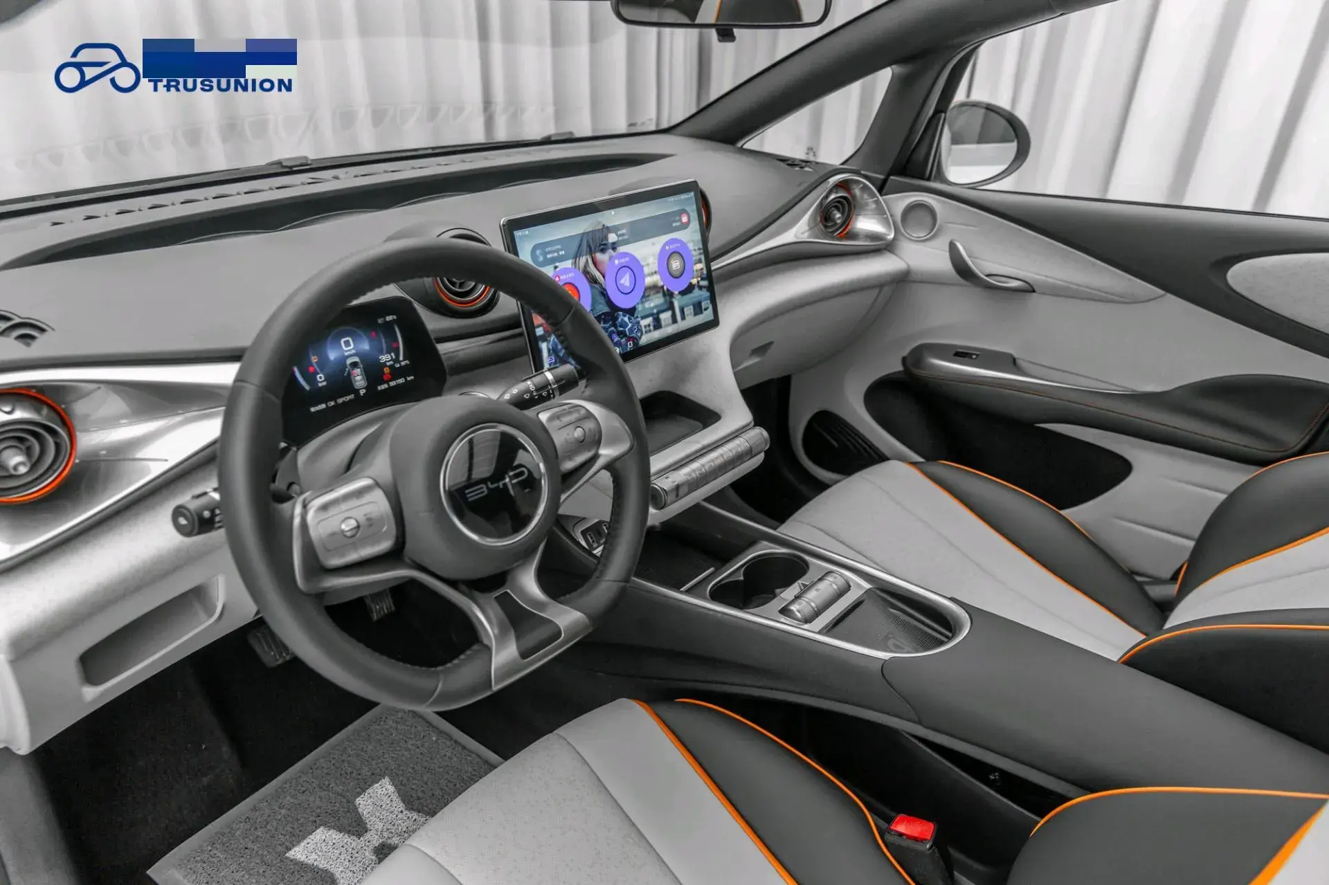 2021 BYD DOLPHIN thumbnail 4