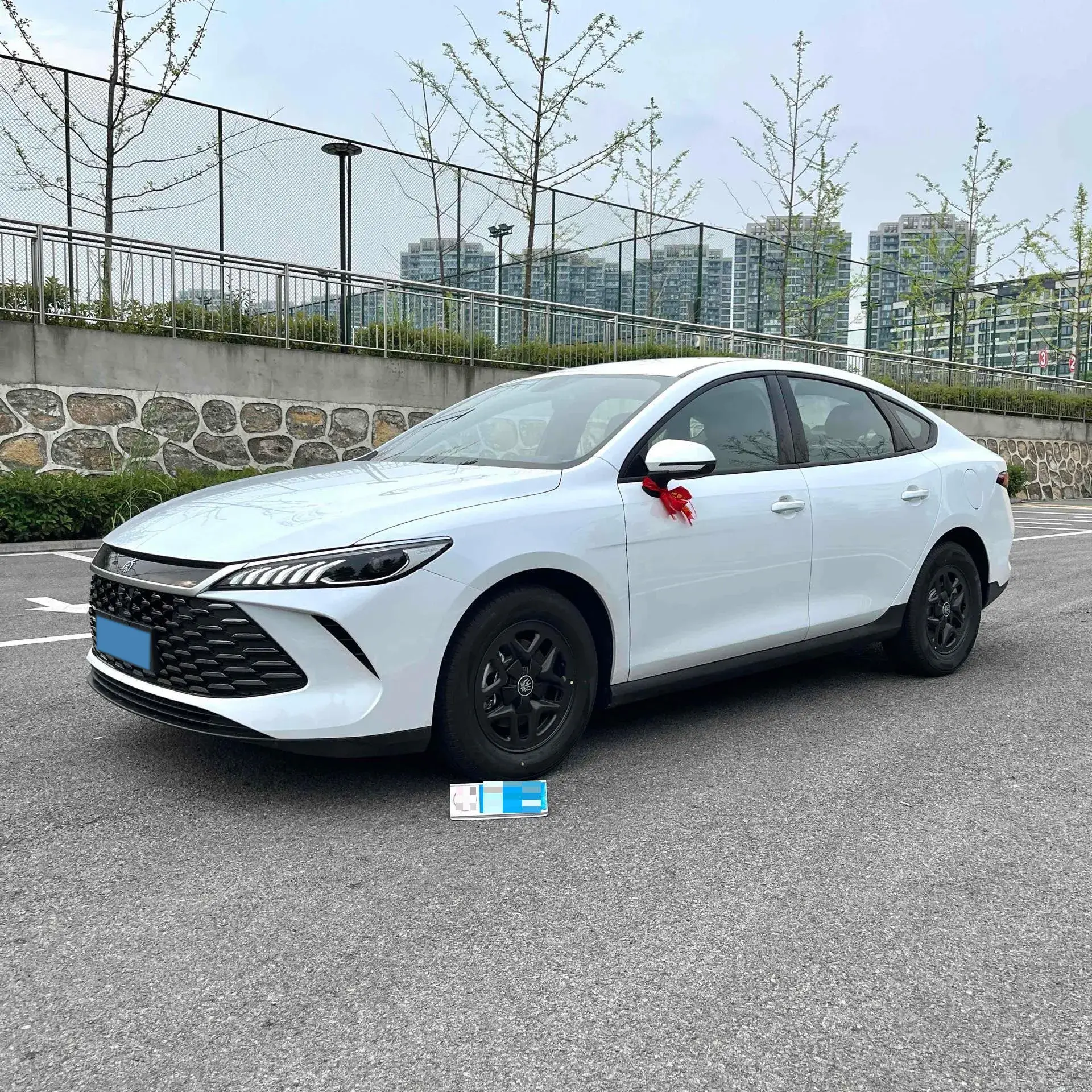 2025 BYD QIN view 1