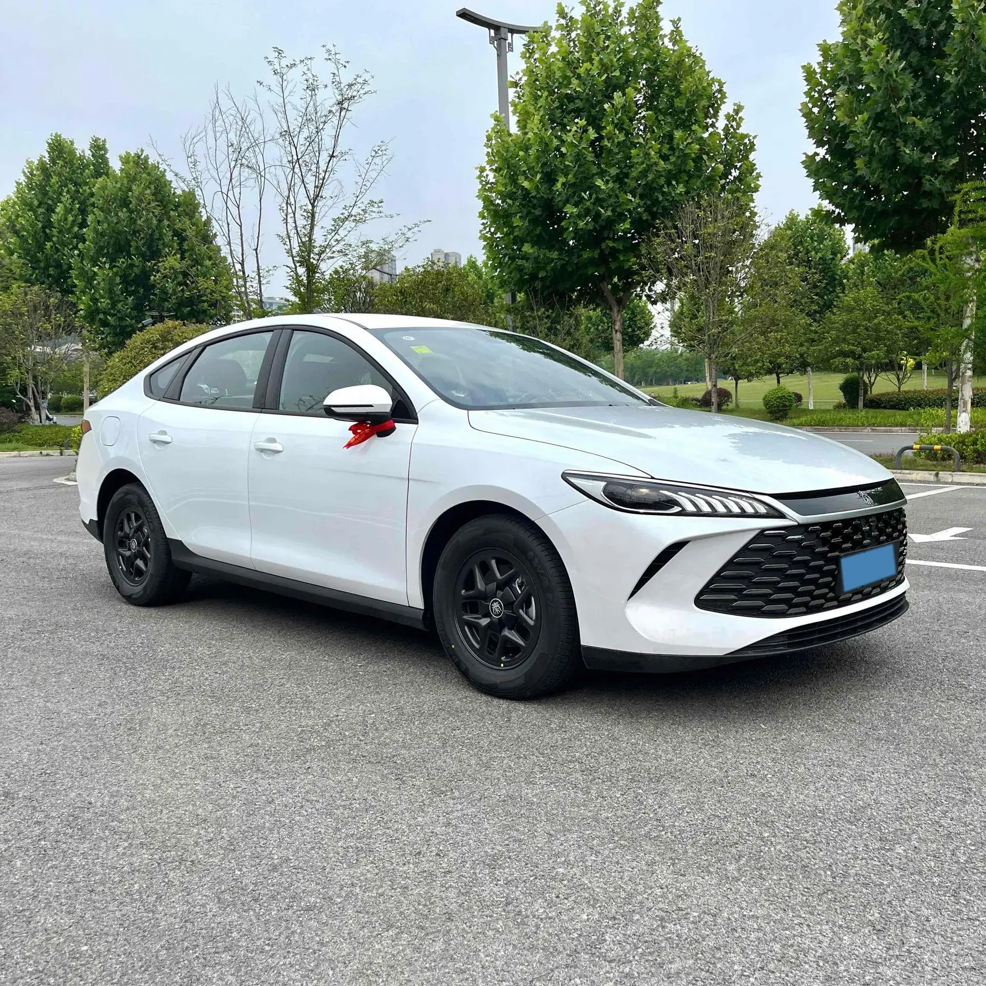 2025 BYD QIN thumbnail 2