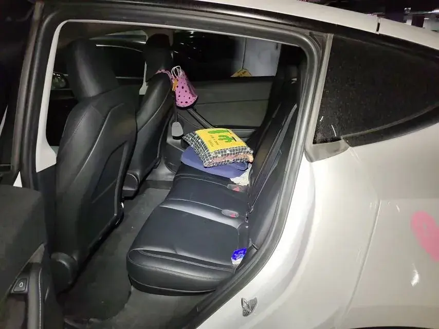 2022 TESLA MODEL thumbnail 4