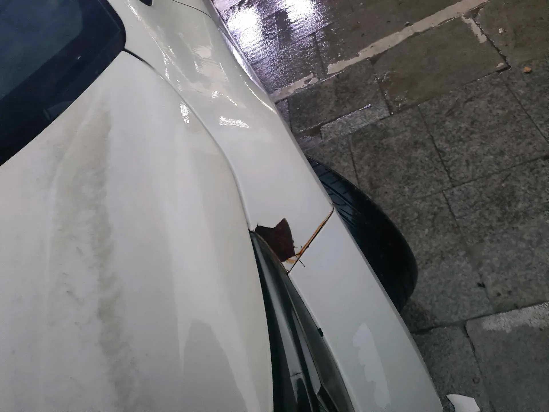 2019 TOYOTA LEVIN thumbnail 3