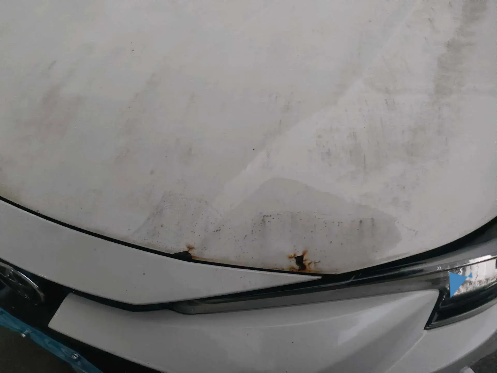 2019 TOYOTA LEVIN thumbnail 2