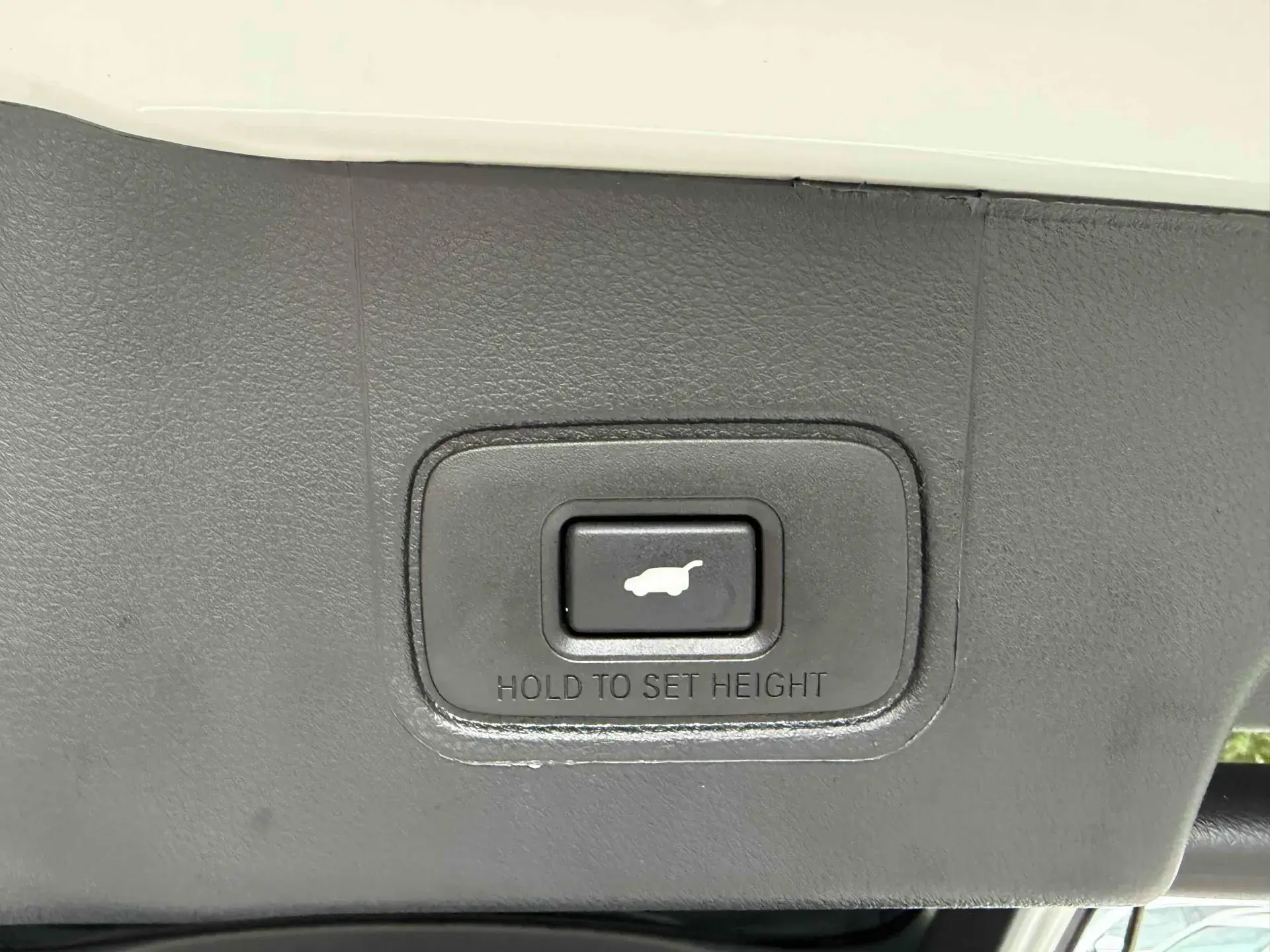 2020 HONDA AVANCIER thumbnail 4