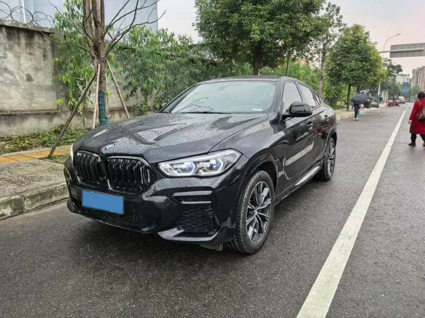 2022 BMW X6 view 1