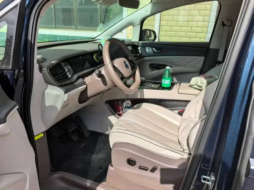 2022 DENZA D9 thumbnail 2