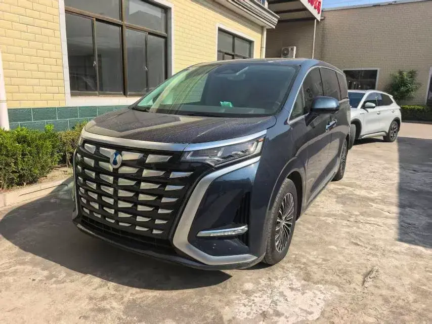 2022 DENZA D9 view 1