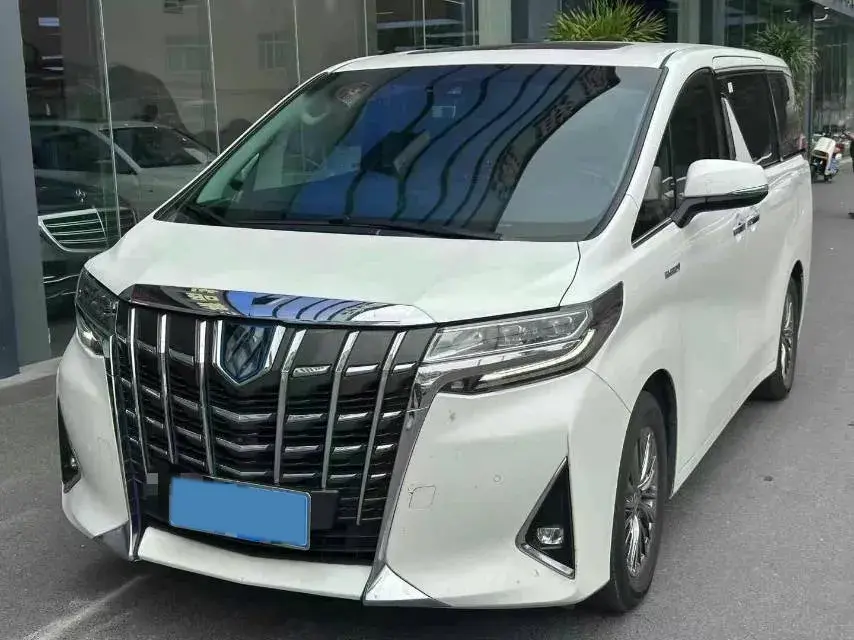 2020 TOYOTA ALPHARD view 1