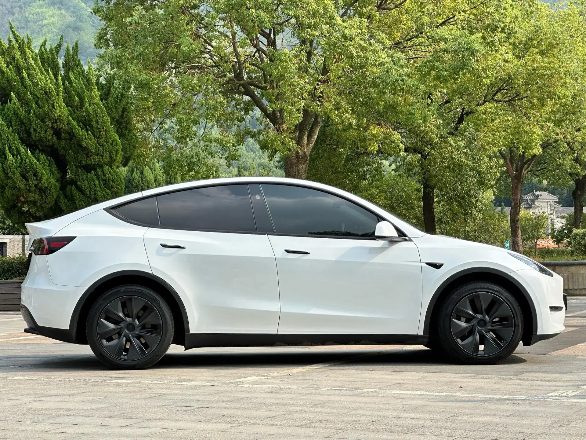 2024 TESLA MODEL thumbnail 3