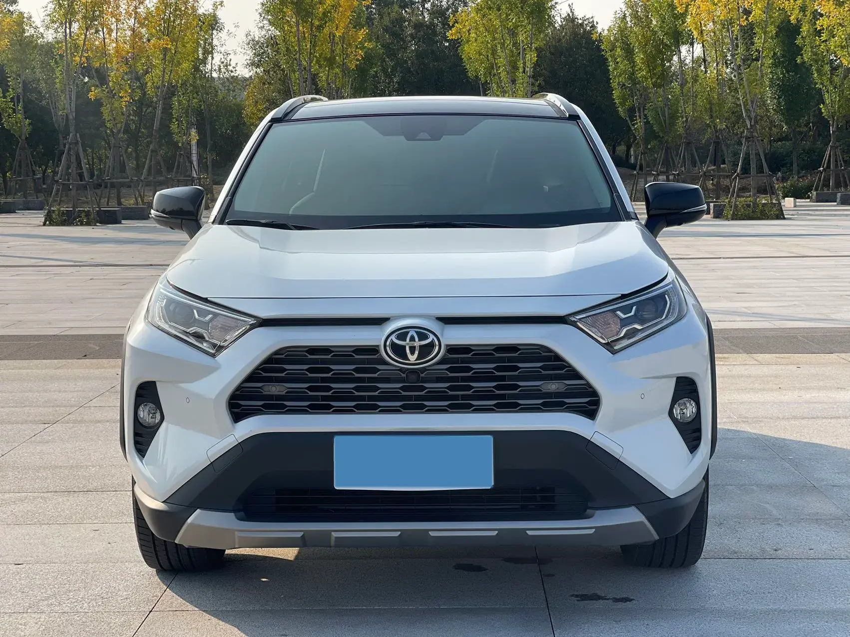 2022 TOYOTA RAV4 thumbnail 2