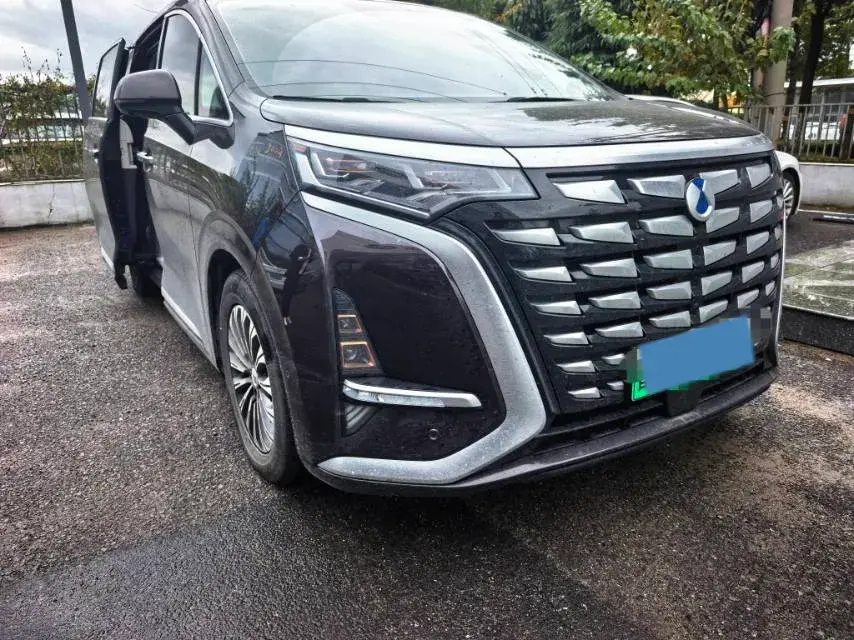 2024 DENZA D9 thumbnail 3