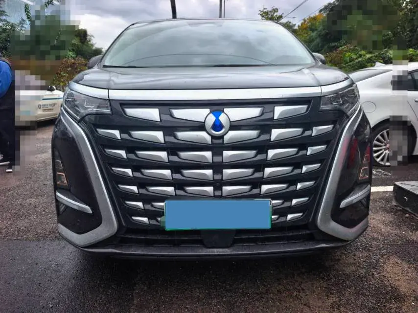 2024 DENZA D9 thumbnail 2