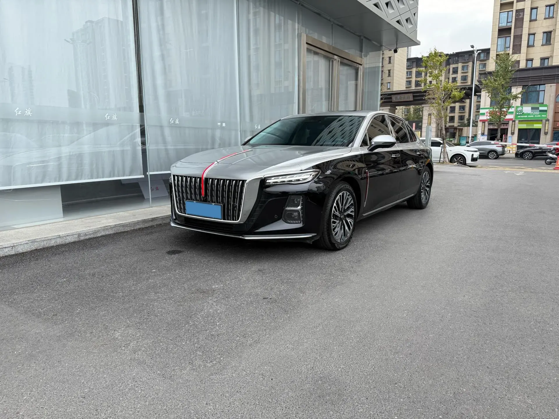 2024 HONGQI H5 view 1