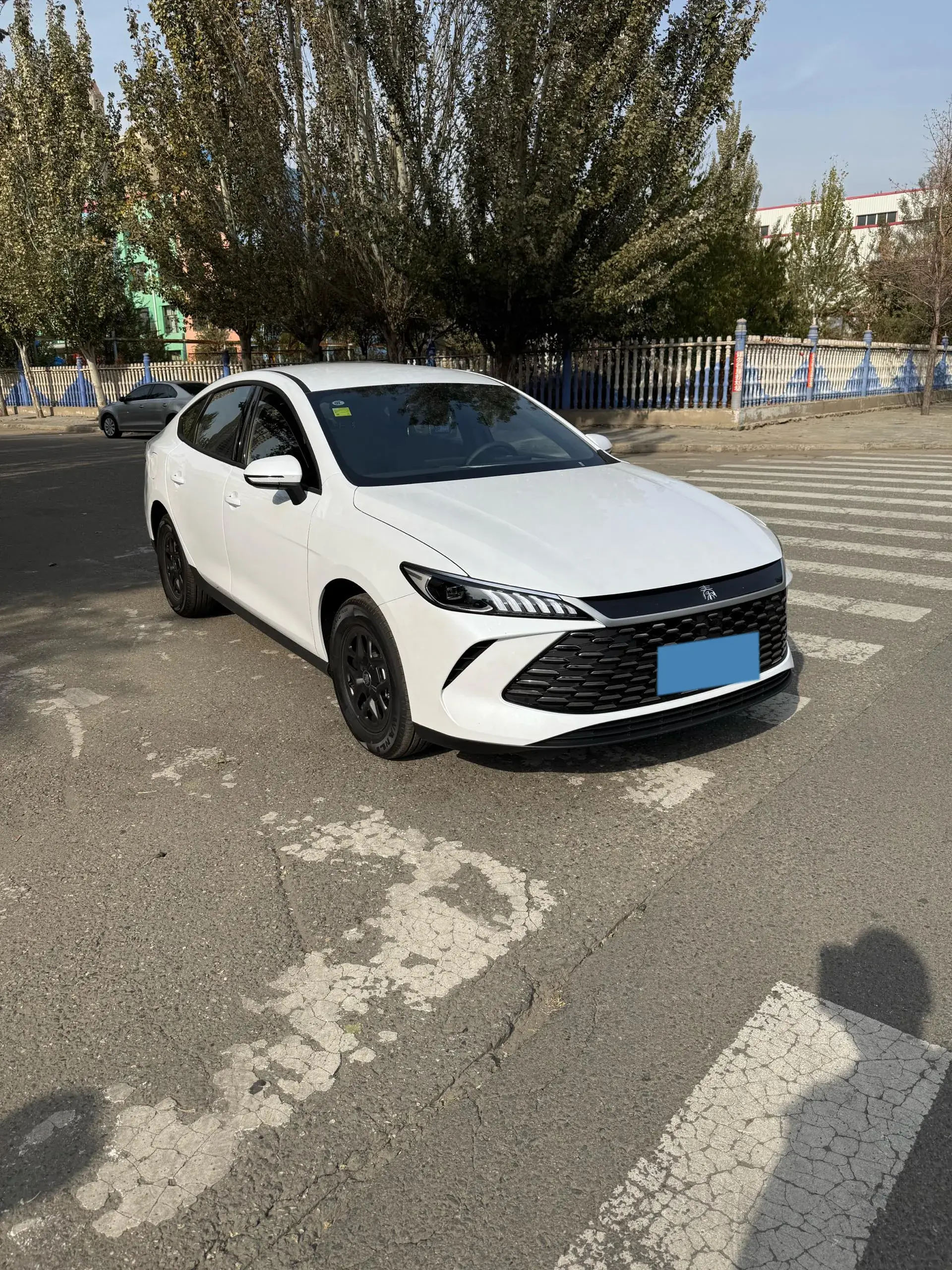 2024 BYD QIN thumbnail 2