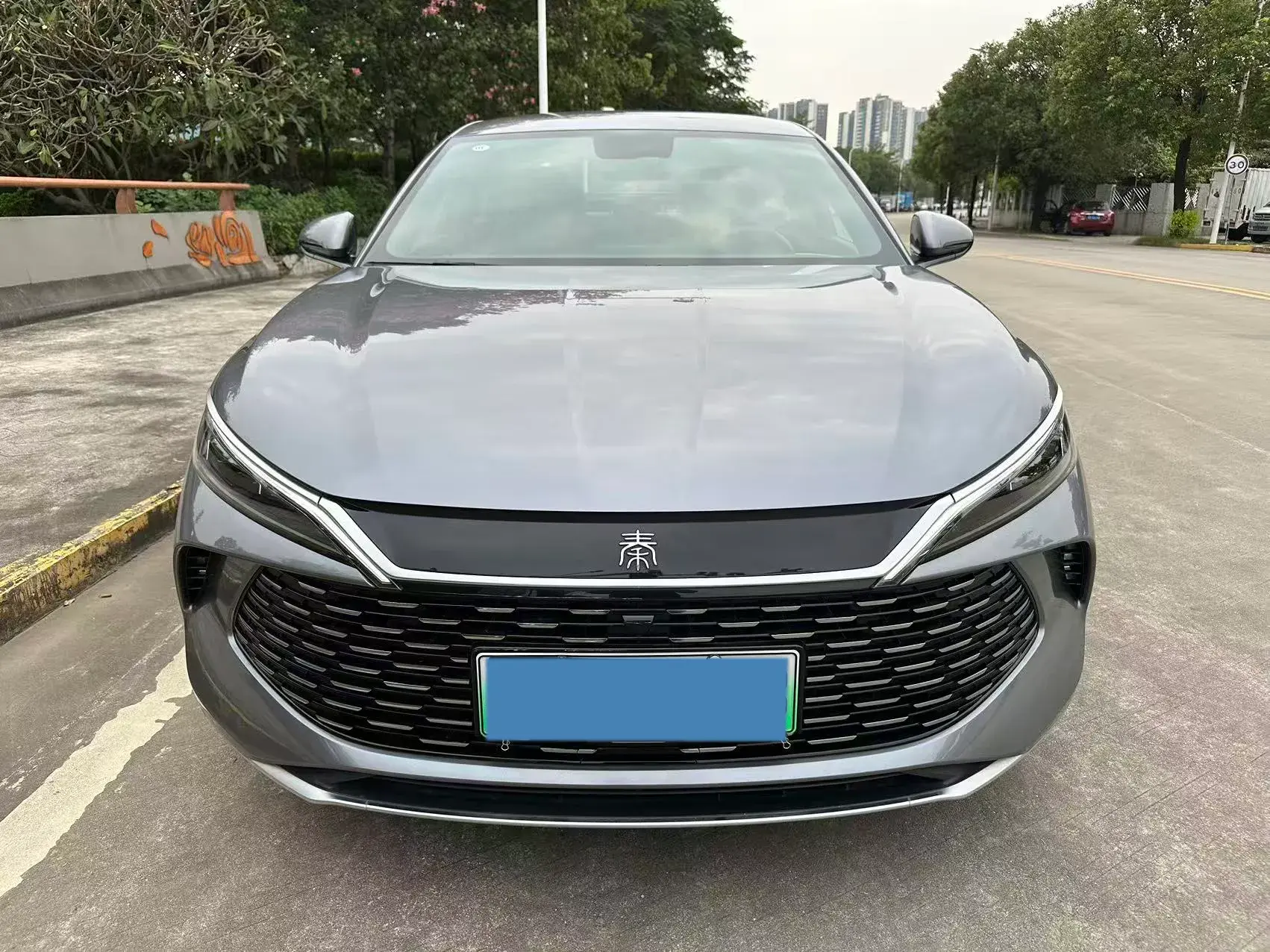 2024 BYD QINL thumbnail 2