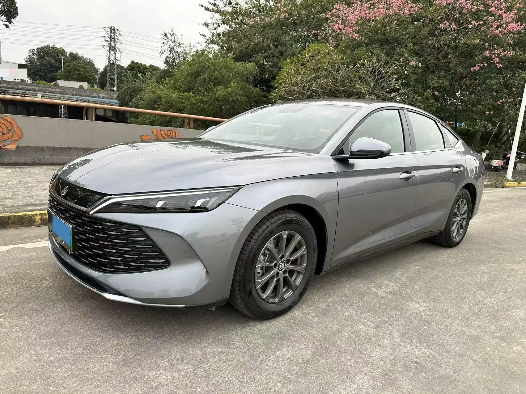 2024 BYD QINL view 1