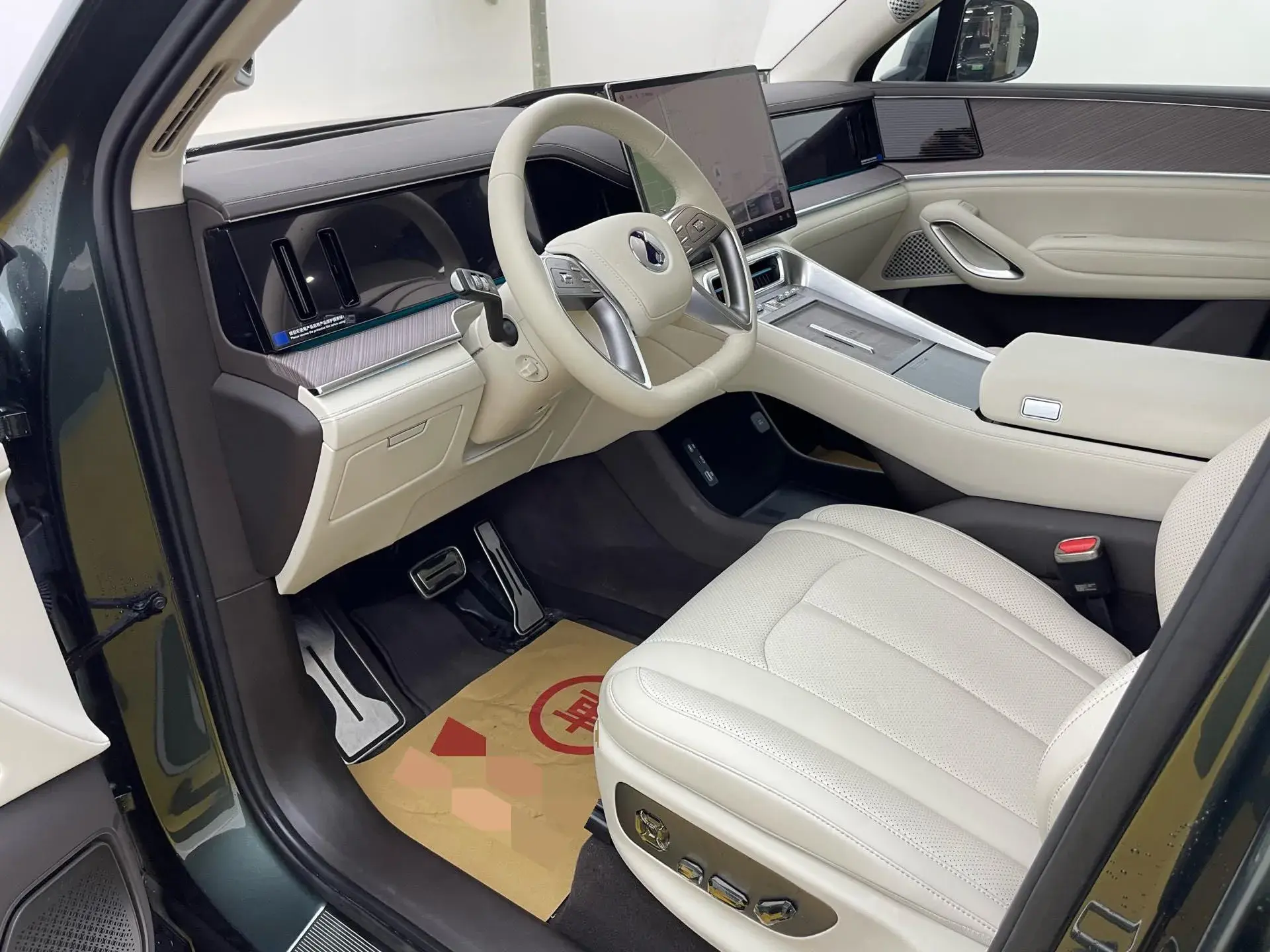 2025 DENZA DENZAN9 thumbnail 4