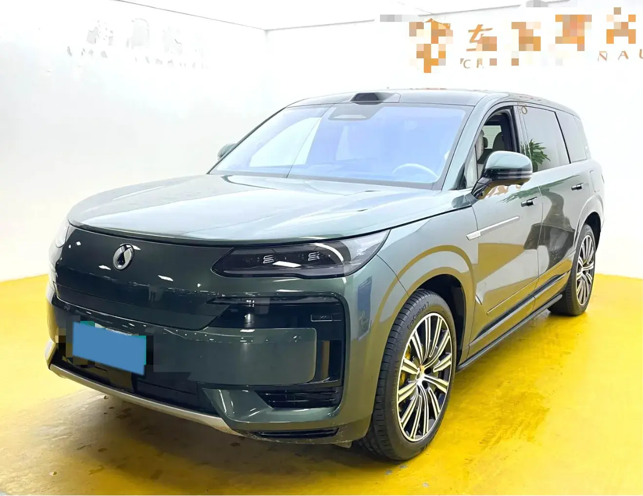 2025 DENZA DENZAN9 view 1