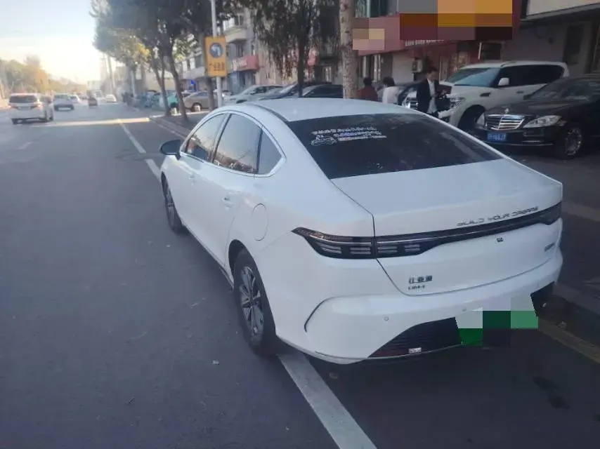 2024 BYD DESTROYER thumbnail 2