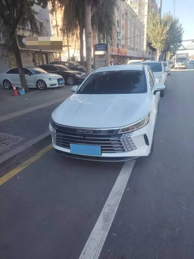 2024 BYD DESTROYER view 1