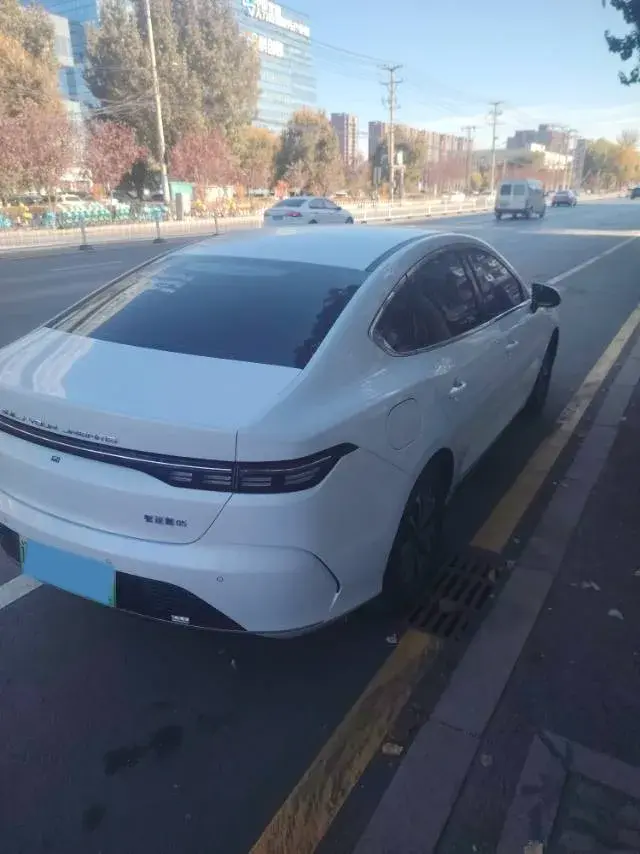 2024 BYD DESTROYER thumbnail 3