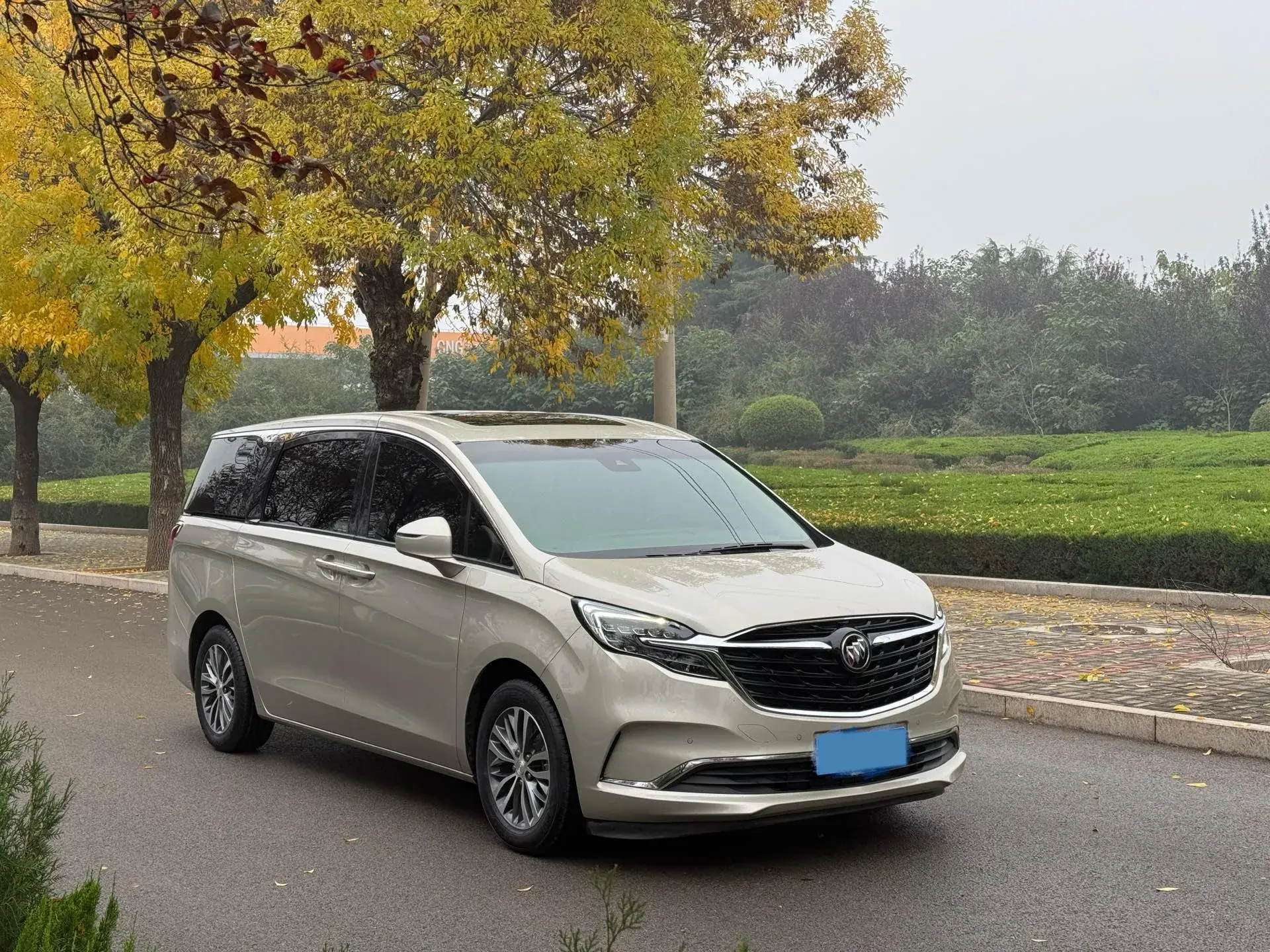 2021 BUICK GL8 thumbnail 3