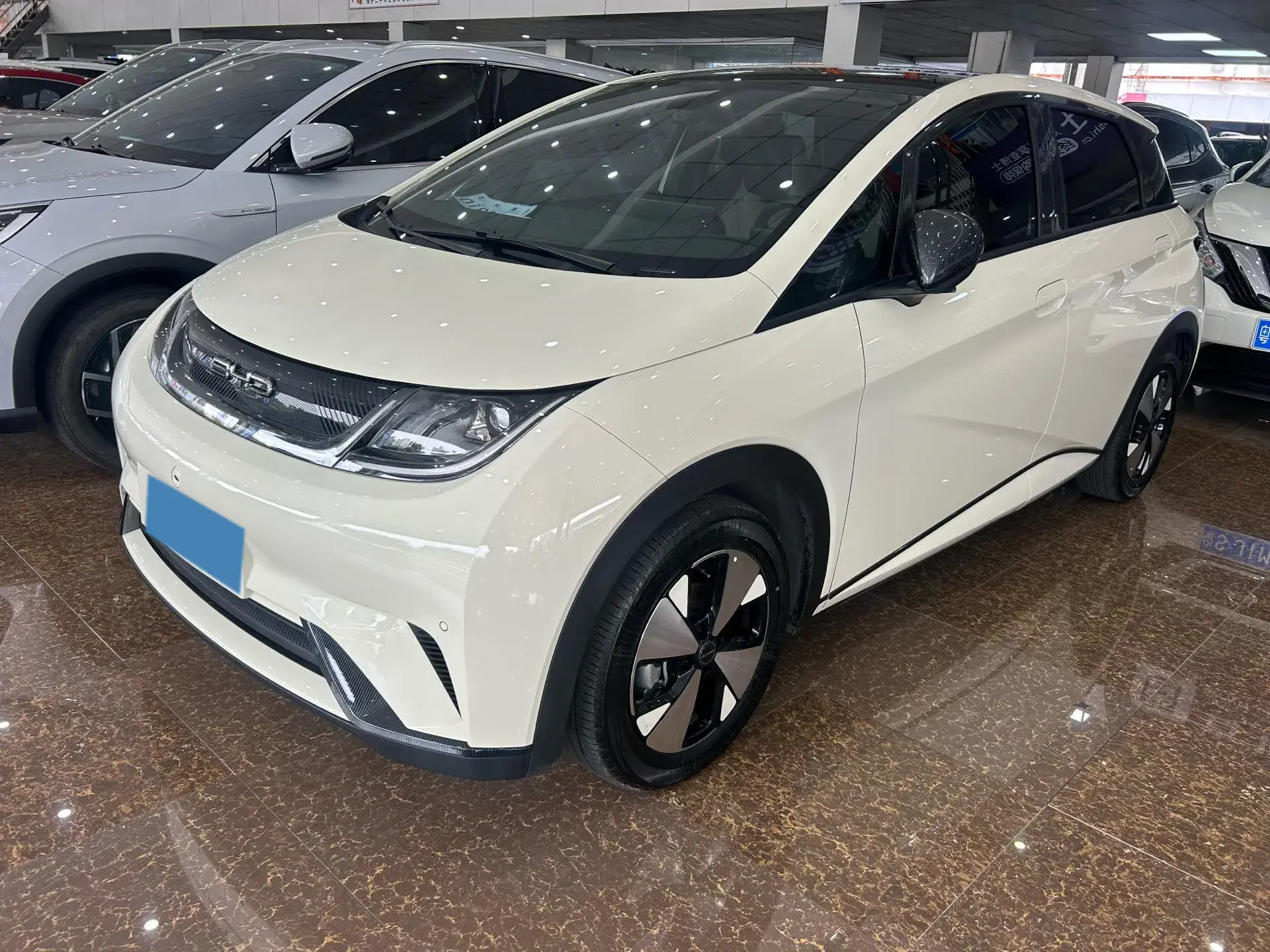 2023 BYD DOLPHIN view 1