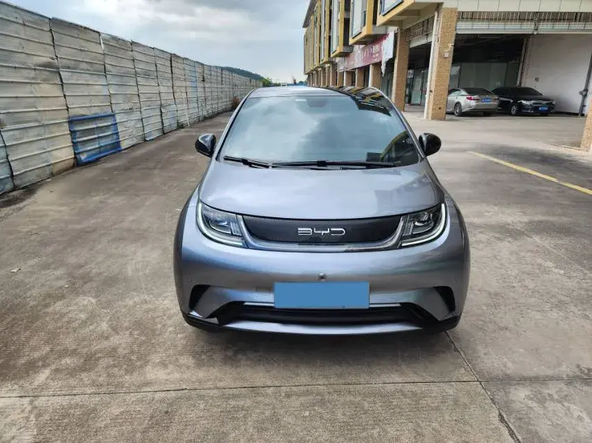 2024 BYD DOLPHIN thumbnail 2