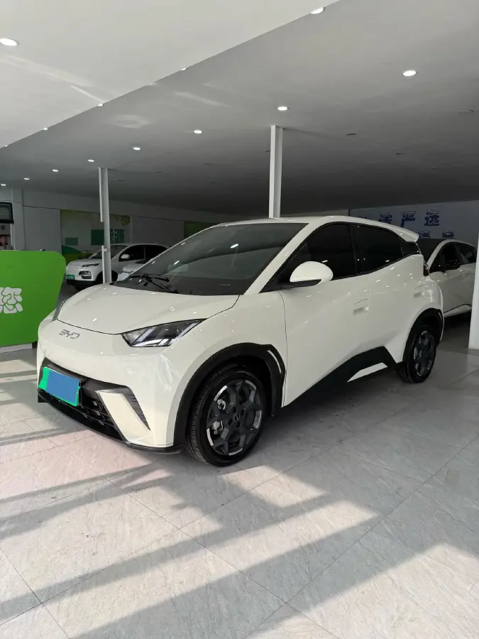 2024 BYD Seagull BEV 30.08KWH 2024 BYD Seagull BEV 30.08KWH