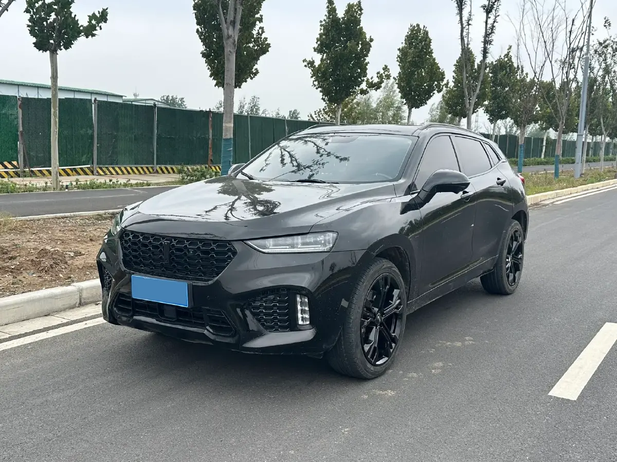 2019 WEY VV7 2.0T 227HP L4 7DCT