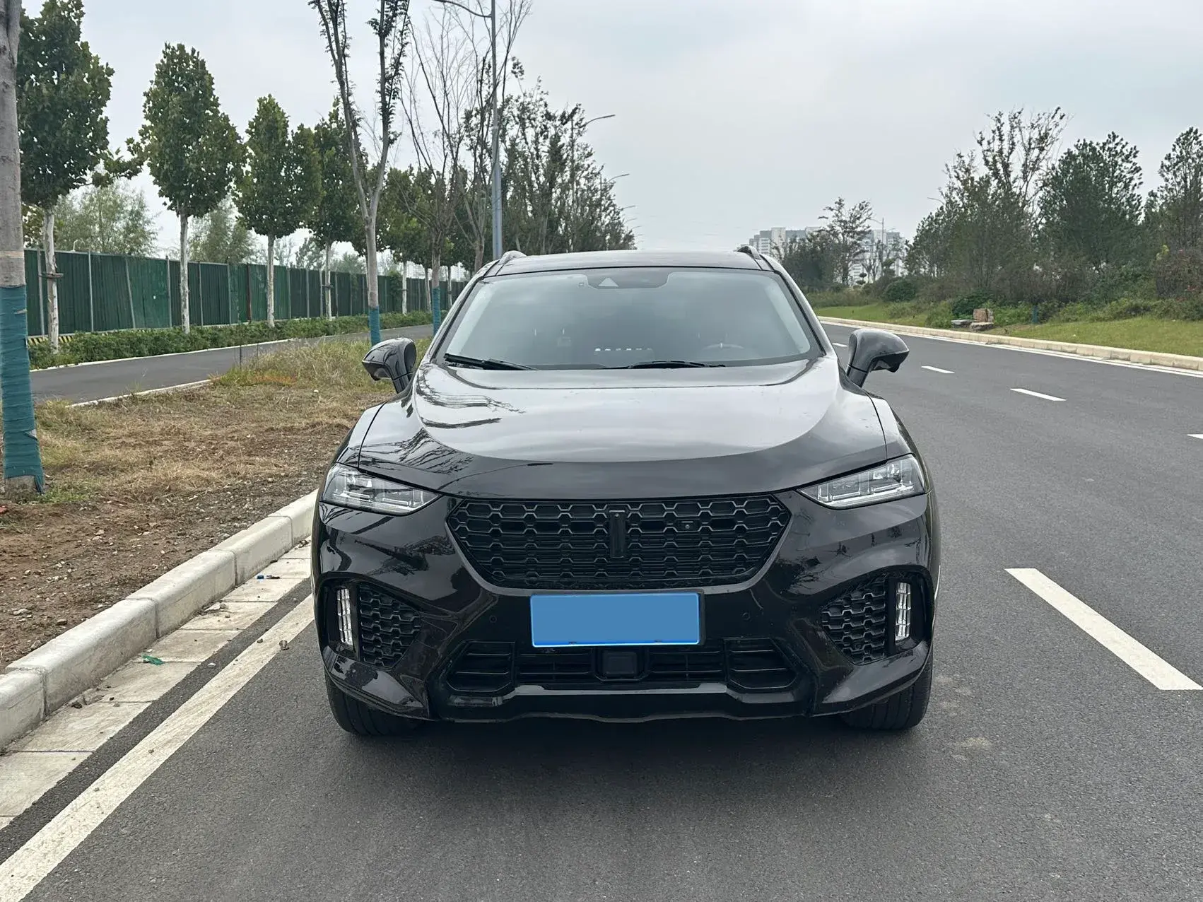 2019 WEY VV7 thumbnail 2