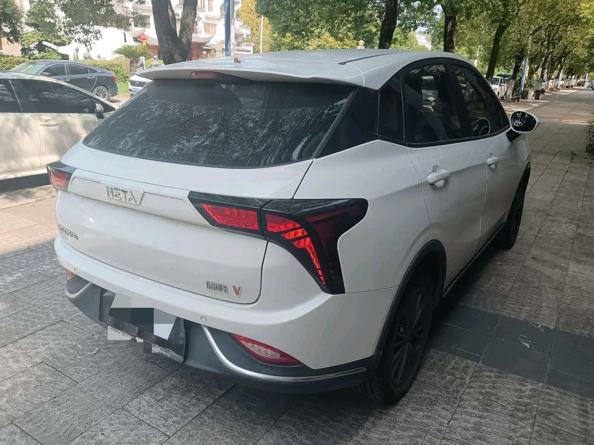 2022 NETA V thumbnail 3