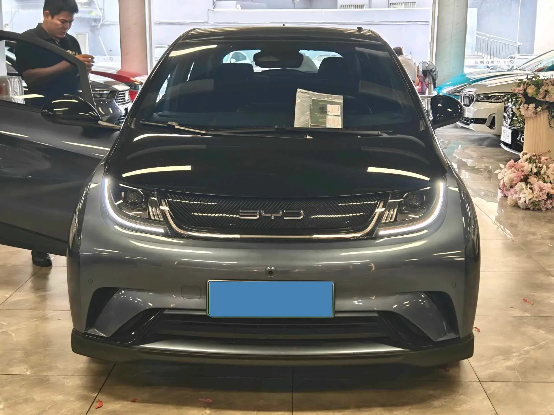 2023 BYD DOLPHIN thumbnail 2