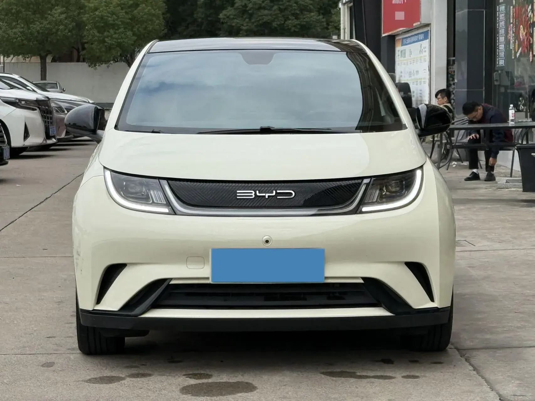 2021 BYD DOLPHIN thumbnail 2