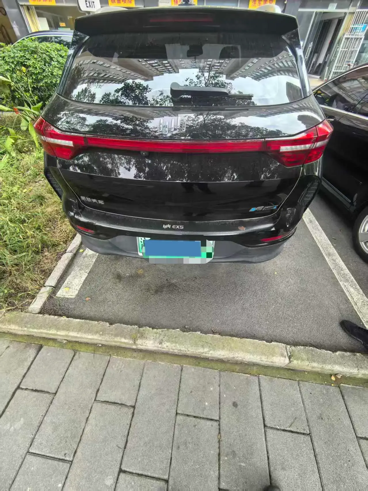 2020 WELTMEISTER EX5 thumbnail 4