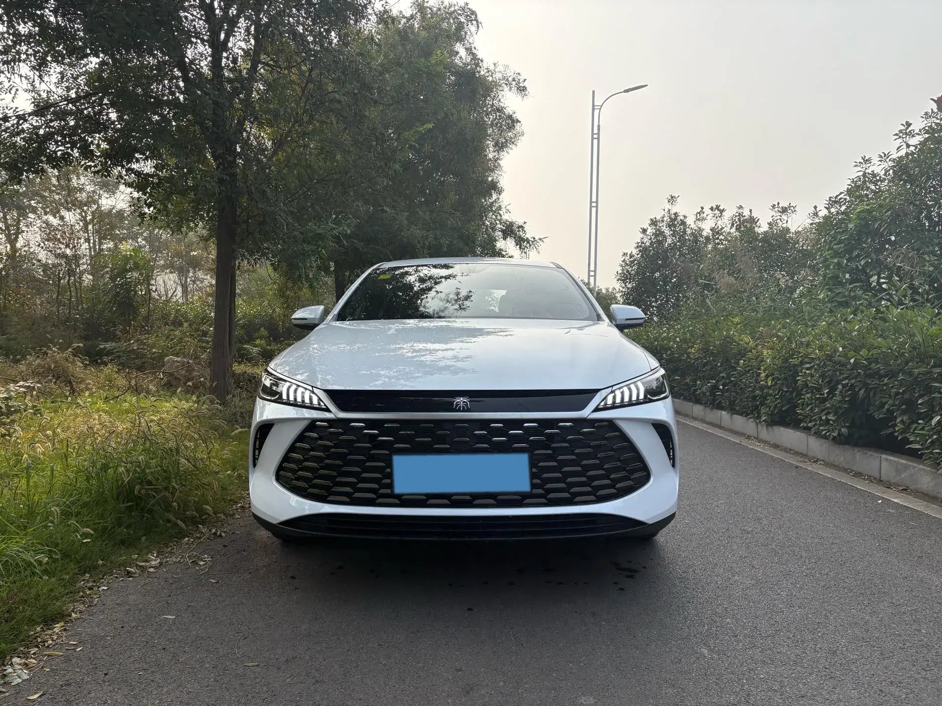 2025 BYD QIN thumbnail 2