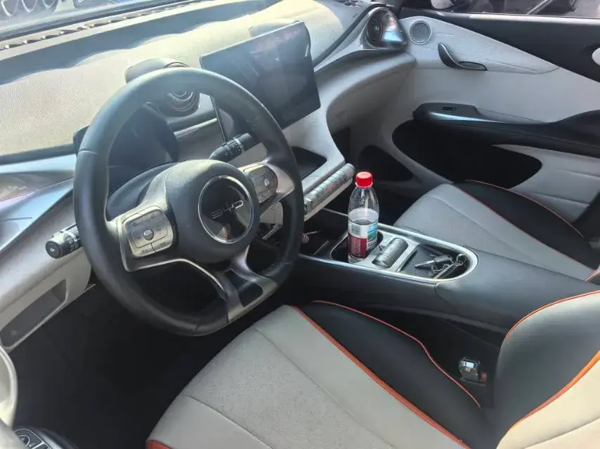 2021 BYD DOLPHIN thumbnail 4