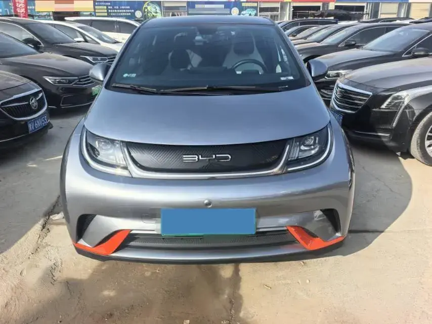 2021 BYD DOLPHIN thumbnail 2