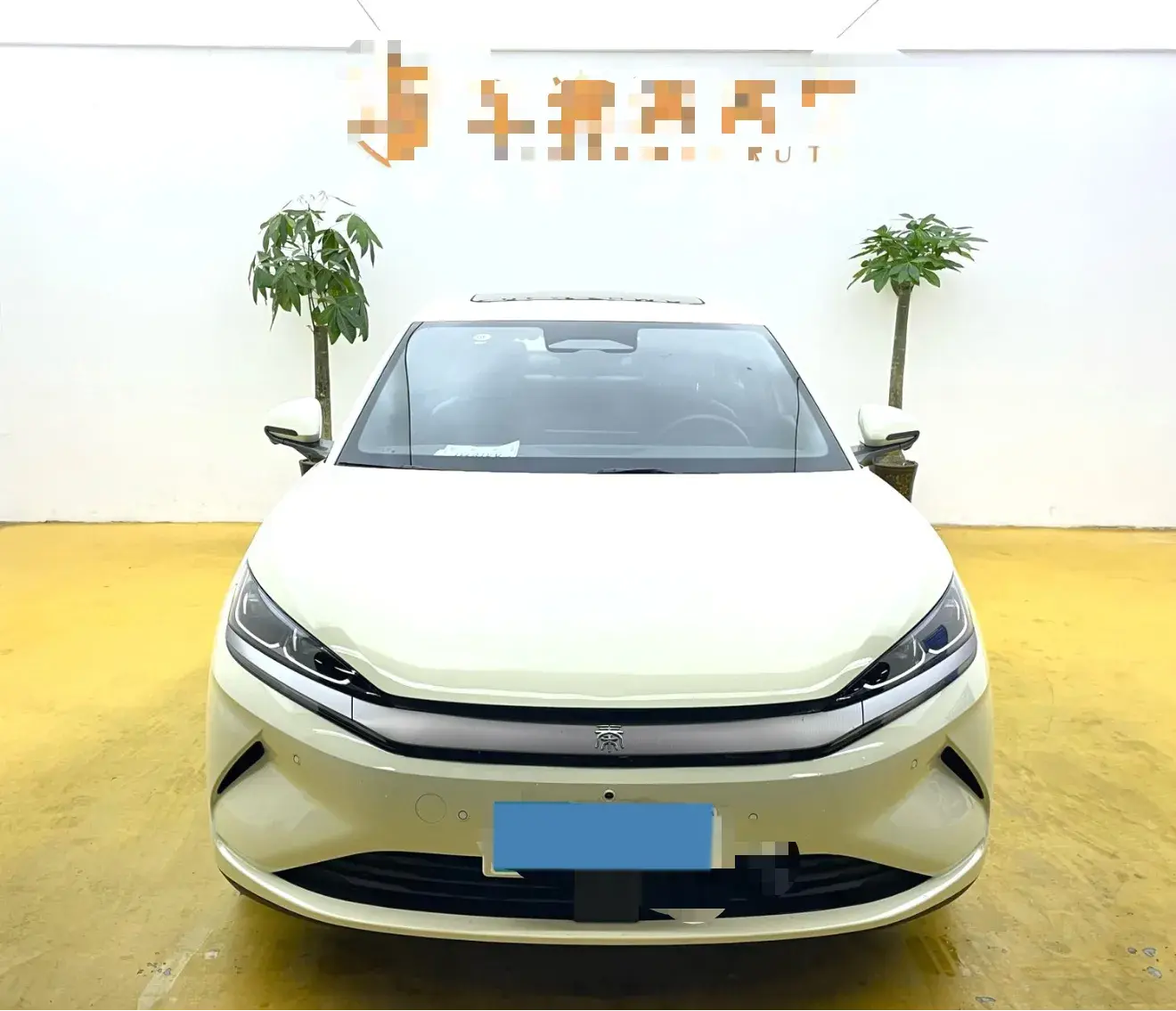 2025 BYD QINL thumbnail 2