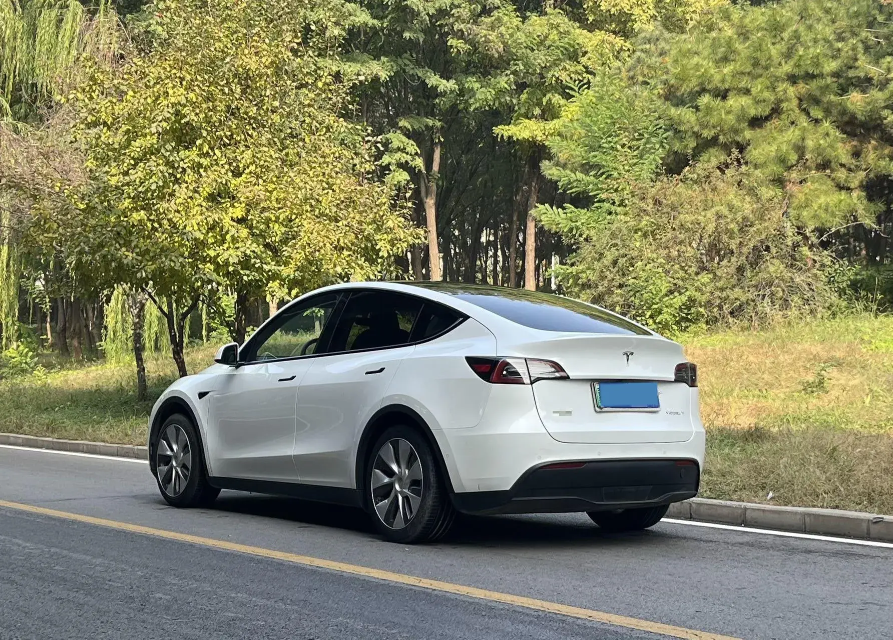 2022 TESLA MODEL thumbnail 3