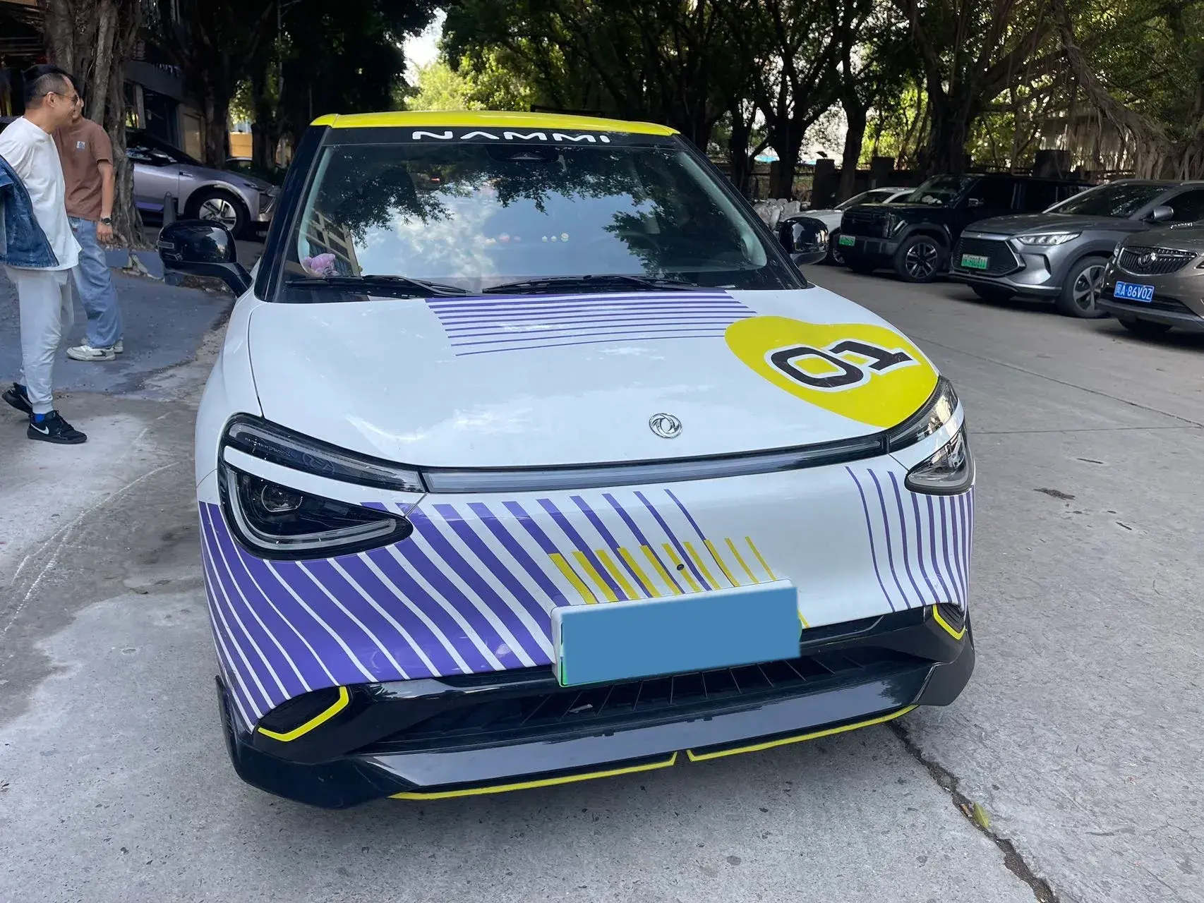 2024 DONGFENG NAMMI thumbnail 2