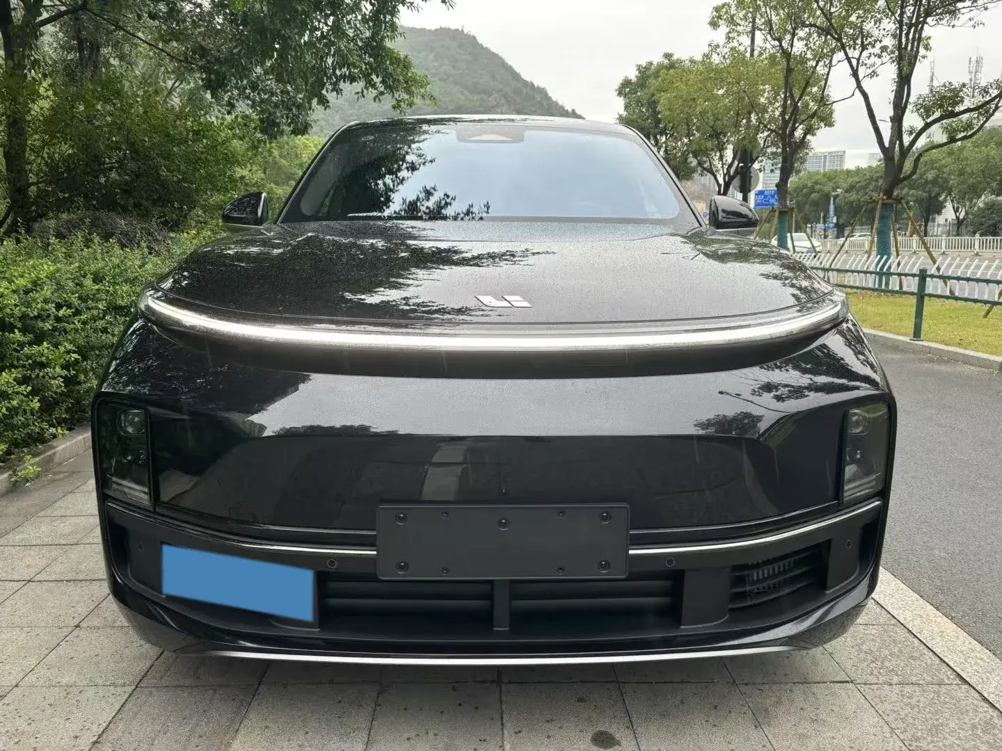 2023 LI L8 thumbnail 2