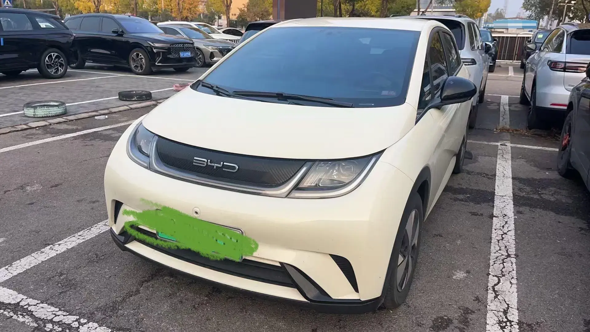 2023 BYD DOLPHIN view 1