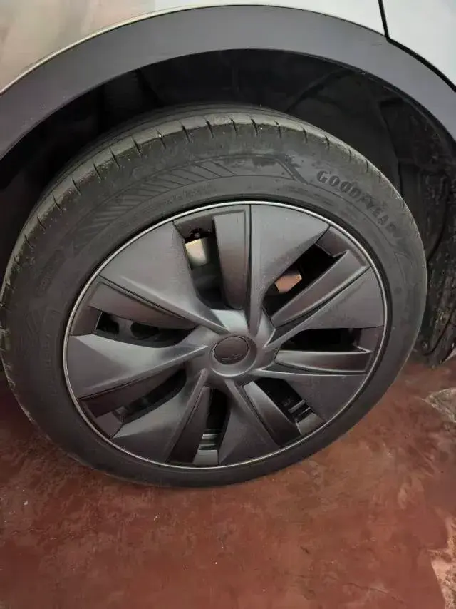 2024 TESLA MODEL thumbnail 3