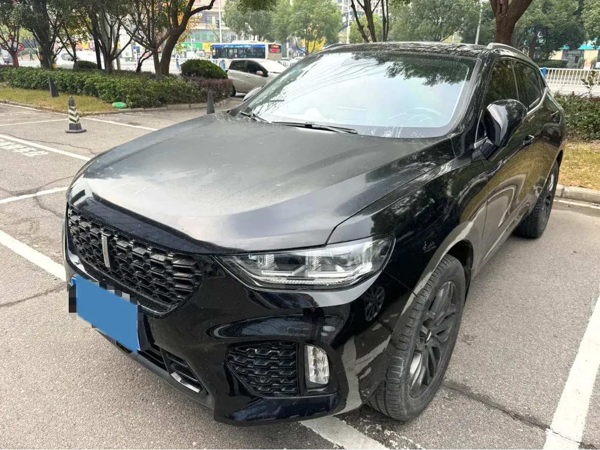 2019 WEY VV5 2.0T 224HP L4 7DCT