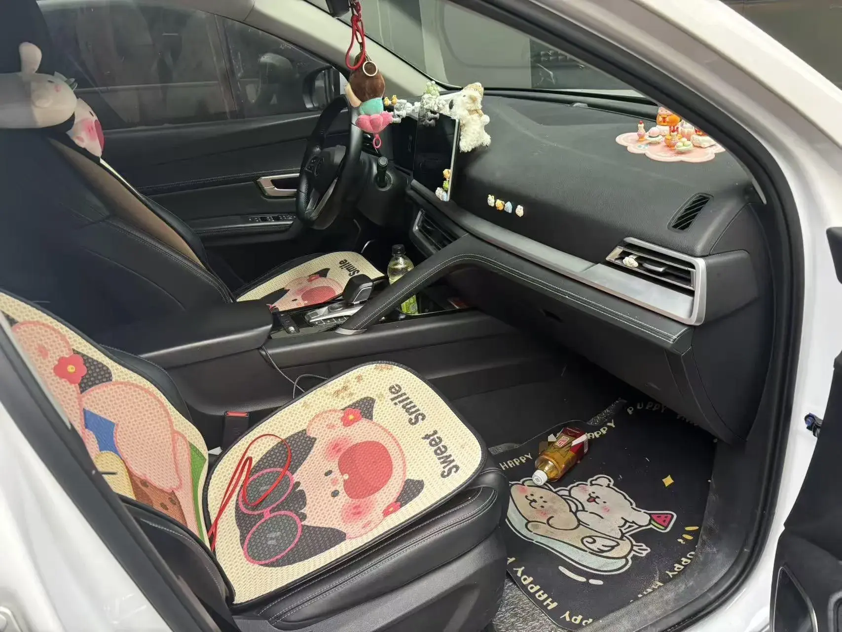 2019 BYD SONG thumbnail 3