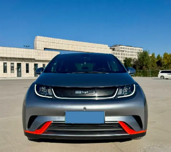 2021 BYD DOLPHIN thumbnail 2