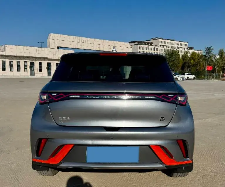 2021 BYD DOLPHIN thumbnail 4