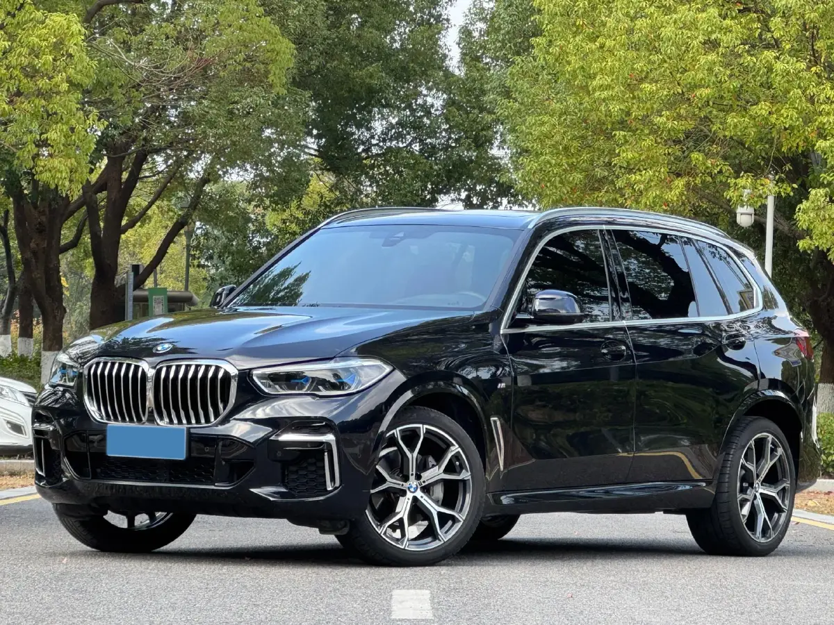 2022 BMW X5 3.0T 333HP L6 8AT